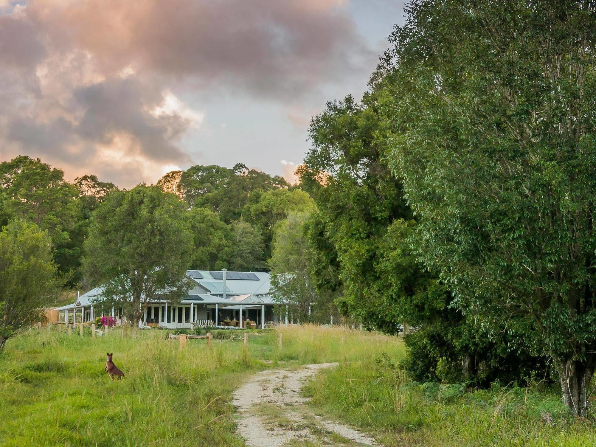 Abelia House Byron Bay Exterior foto