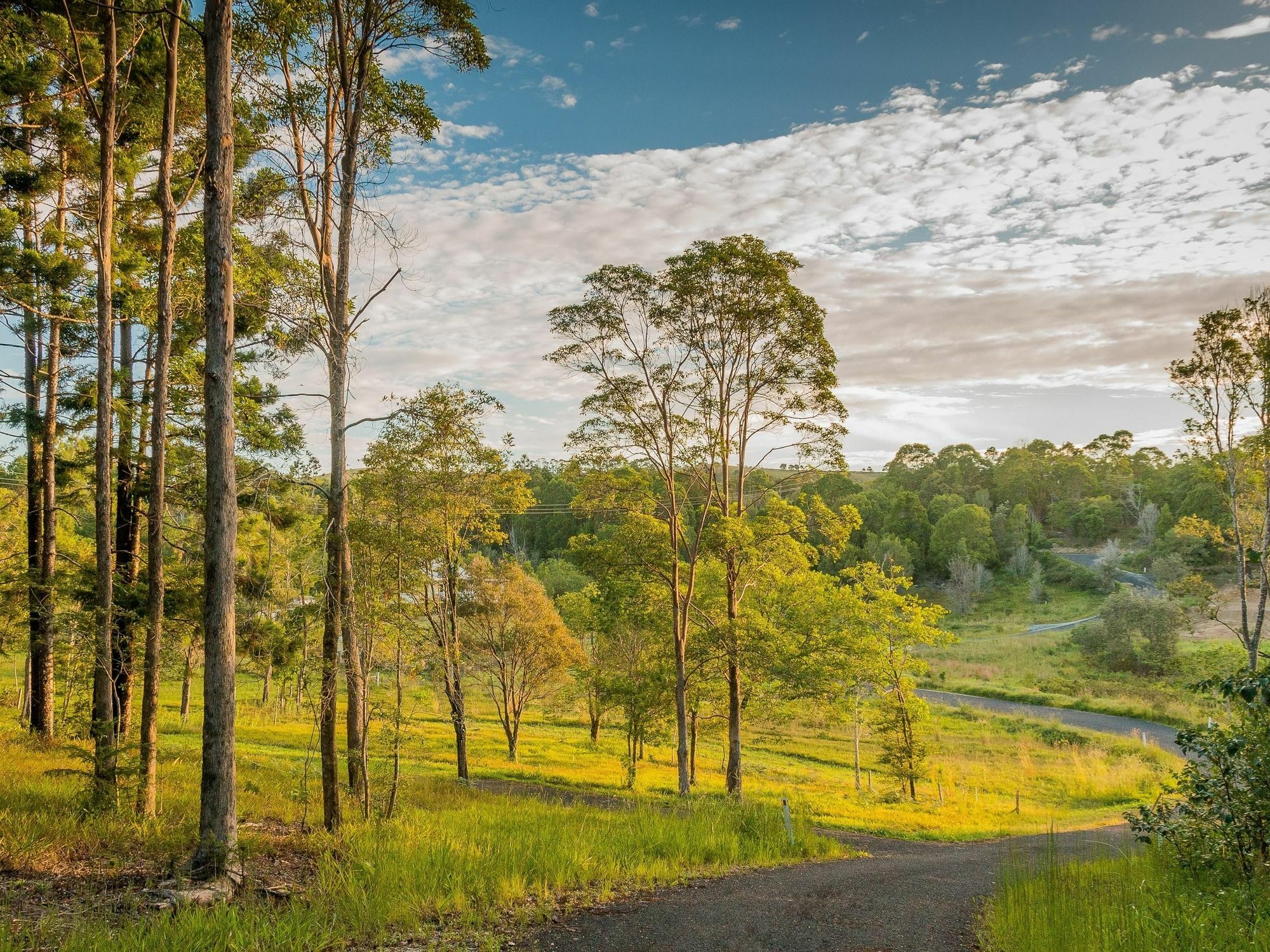 Abelia House Byron Bay Exterior foto