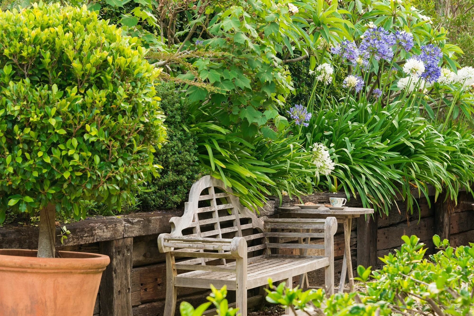 Abelia House Byron Bay Exterior foto